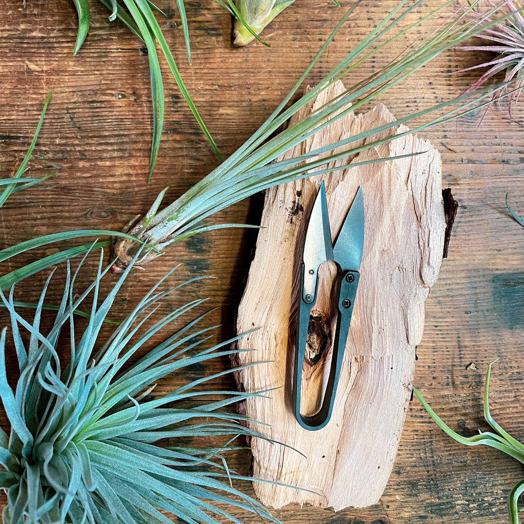 Herb Snips - Gardening Tool - Spring Summer Fall Gift