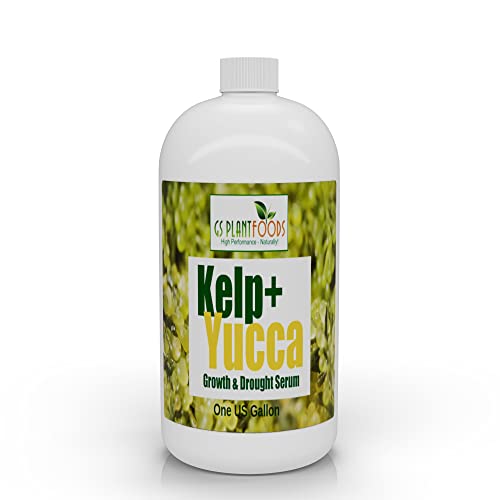 Kelp + Yucca – Soil Moisture & Root Enhancer | GS Plant Foods