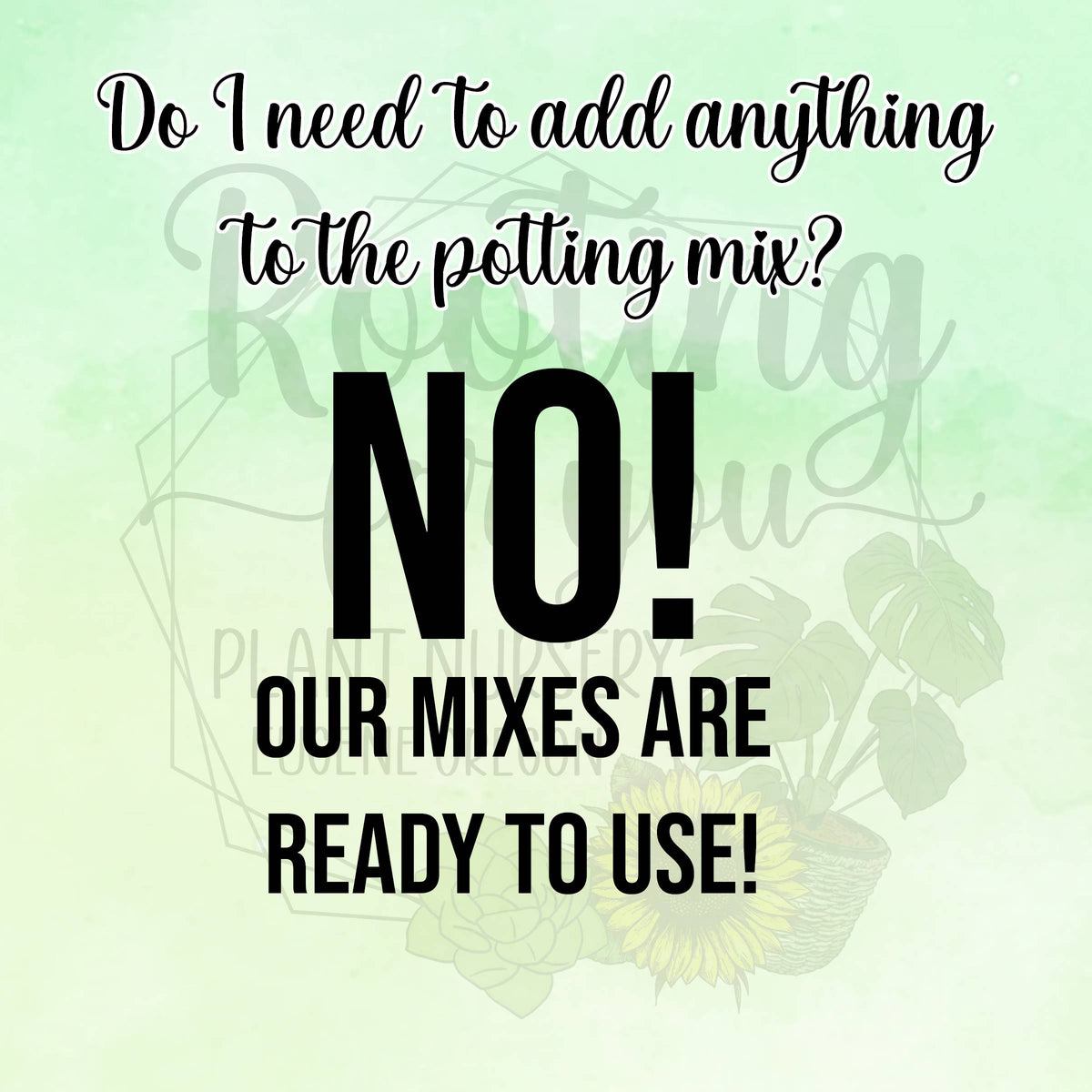 FERN Premium Potting Mix