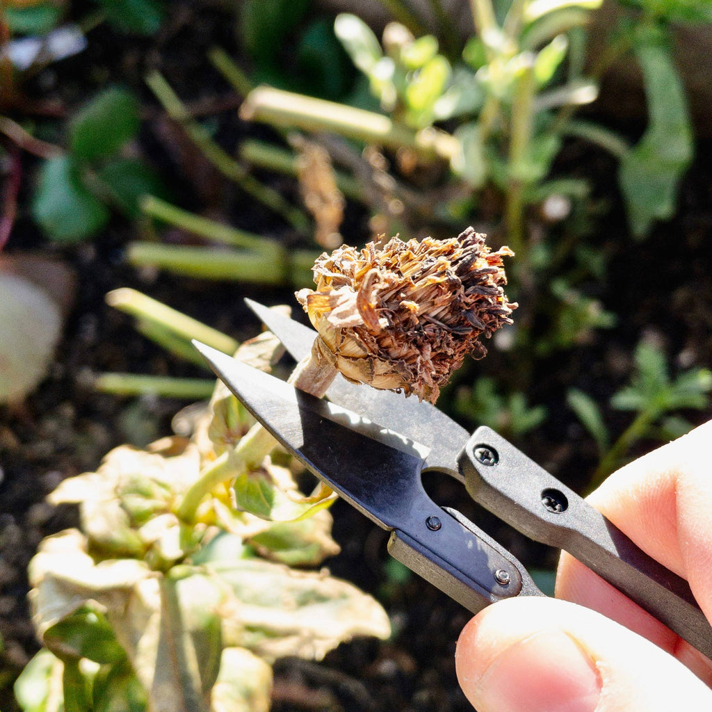 Herb Snips - Gardening Tool - Spring Summer Fall Gift
