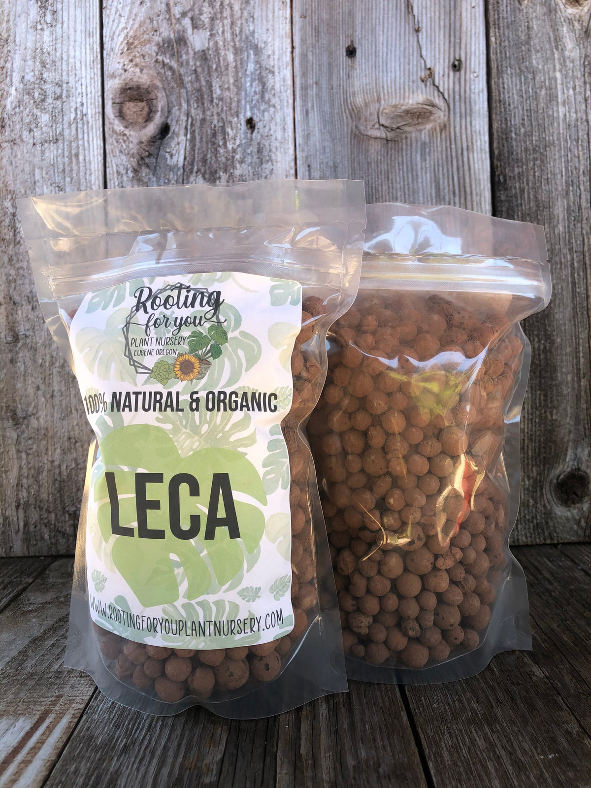 LECA (Lightweight Expanded Clay Aggregate)
