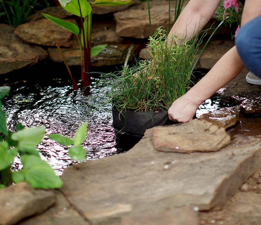 Smart Pot Pond Pot