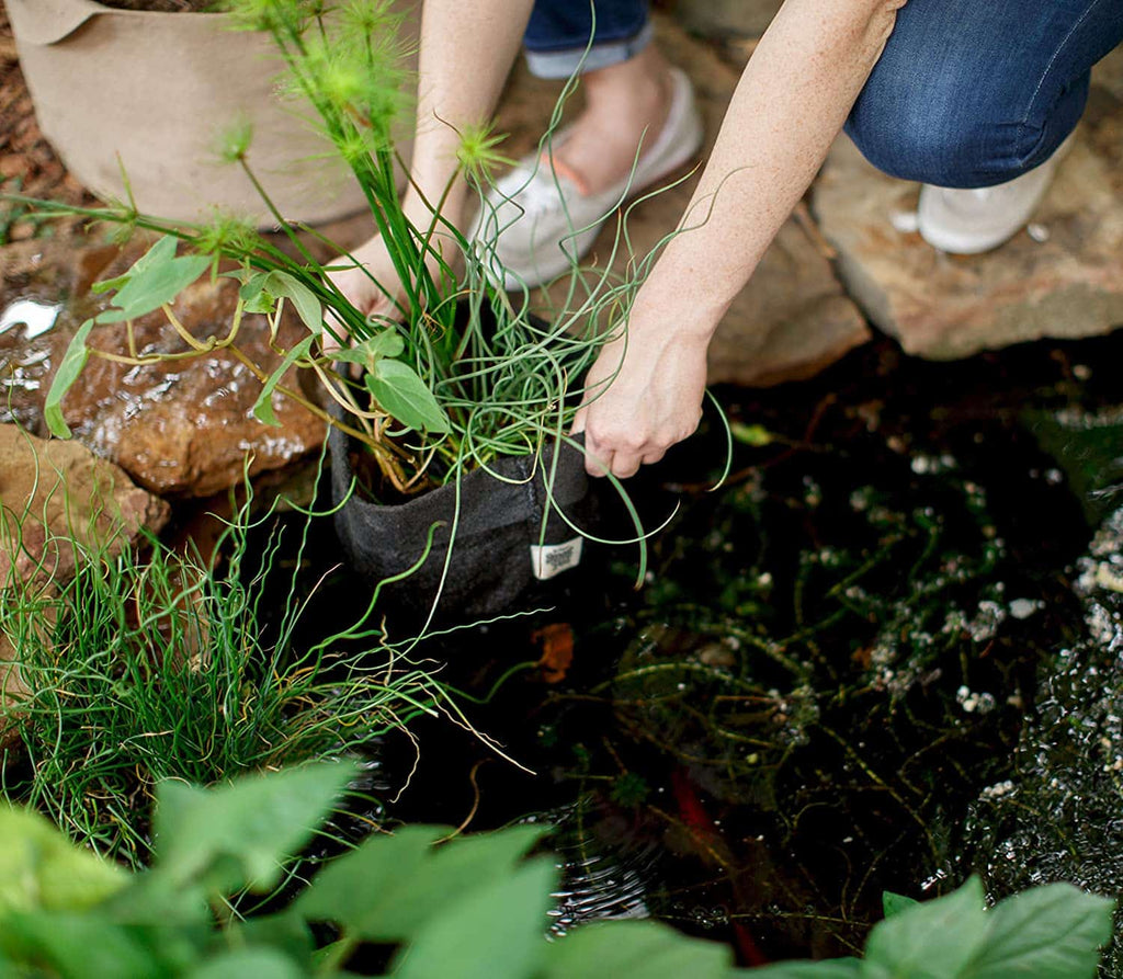 Smart Pot Pond Pot