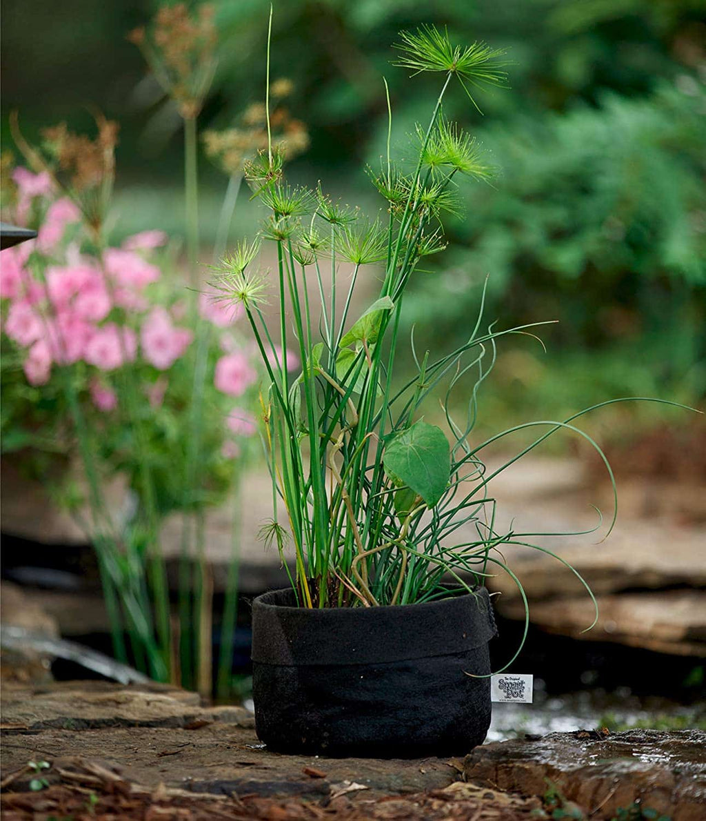 Smart Pot Pond Pot