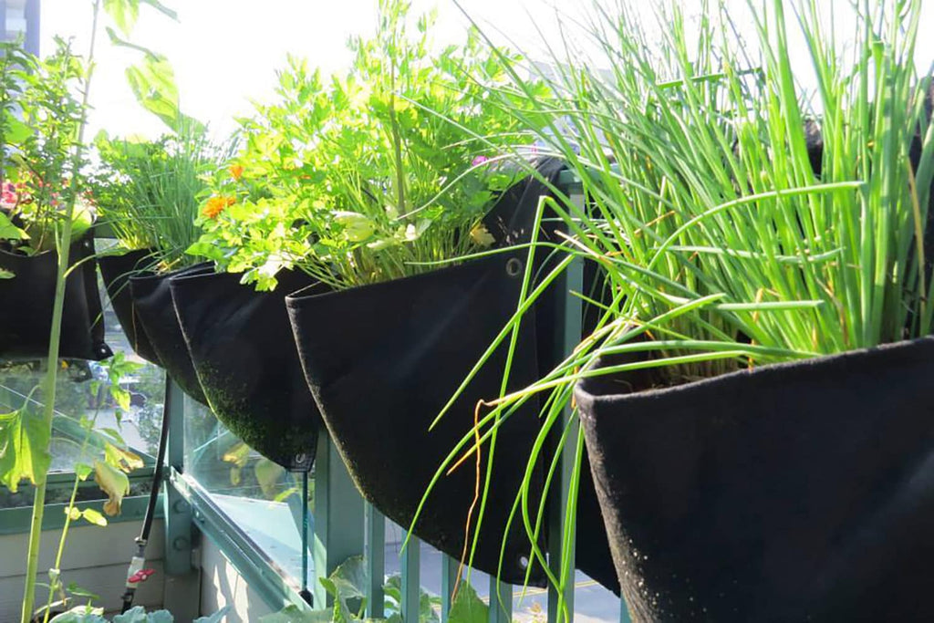 Smart Pot Wall Flower Saddle Planter