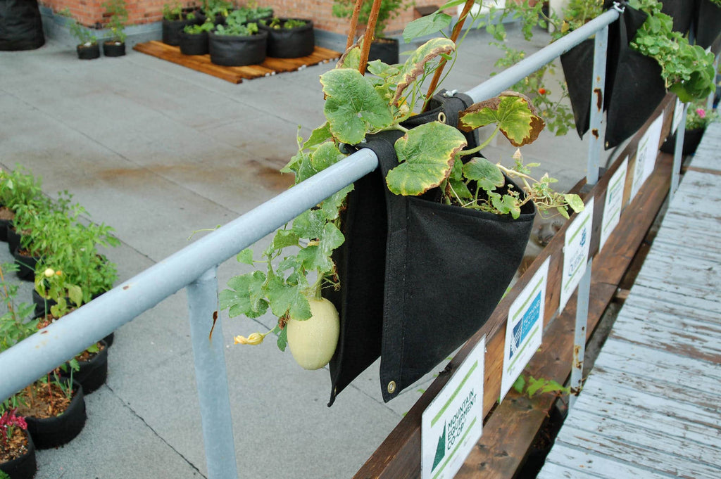 Smart Pot Wall Flower Saddle Planter