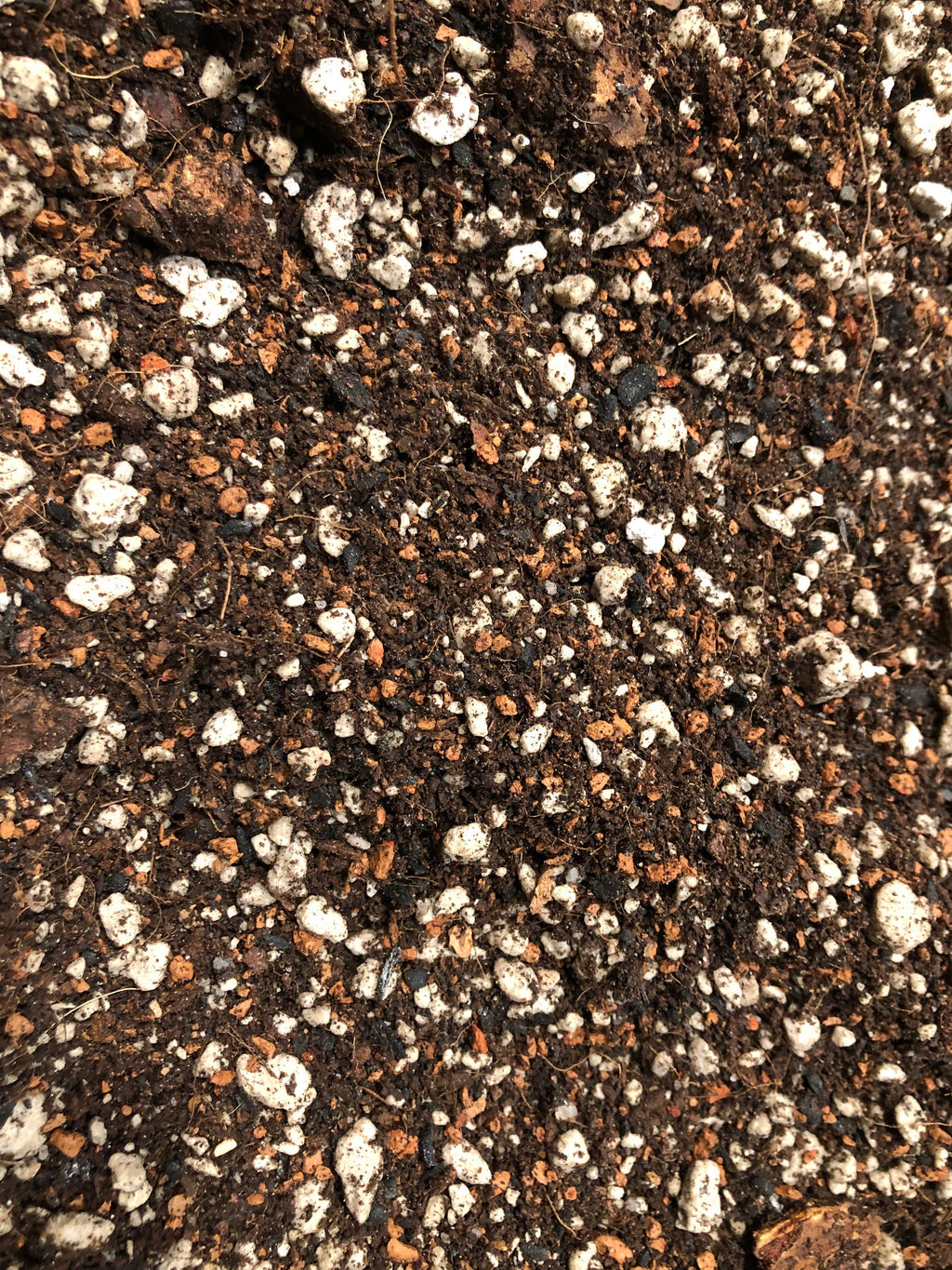 FERN Premium Potting Mix
