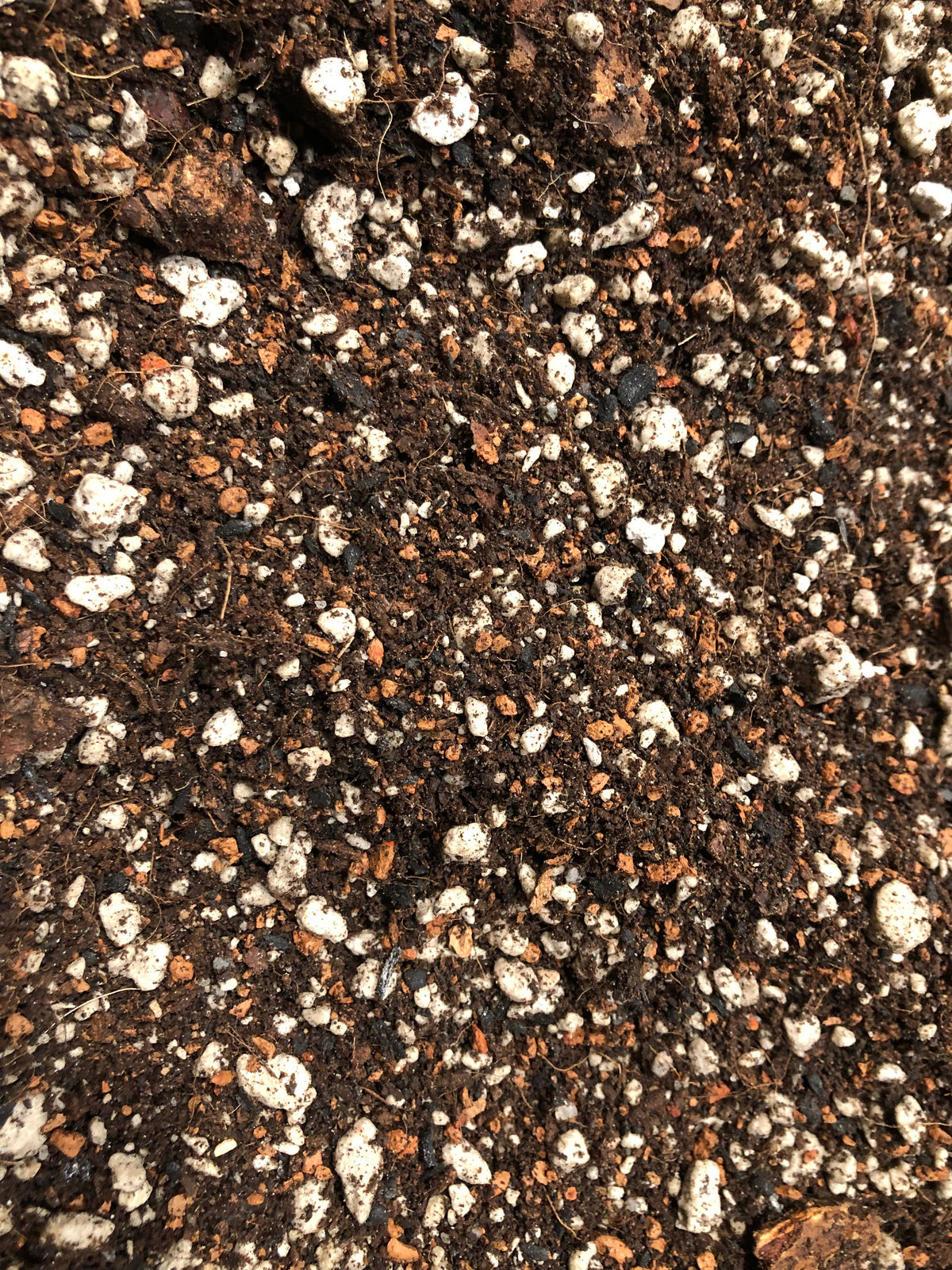 FERN Premium Potting Mix