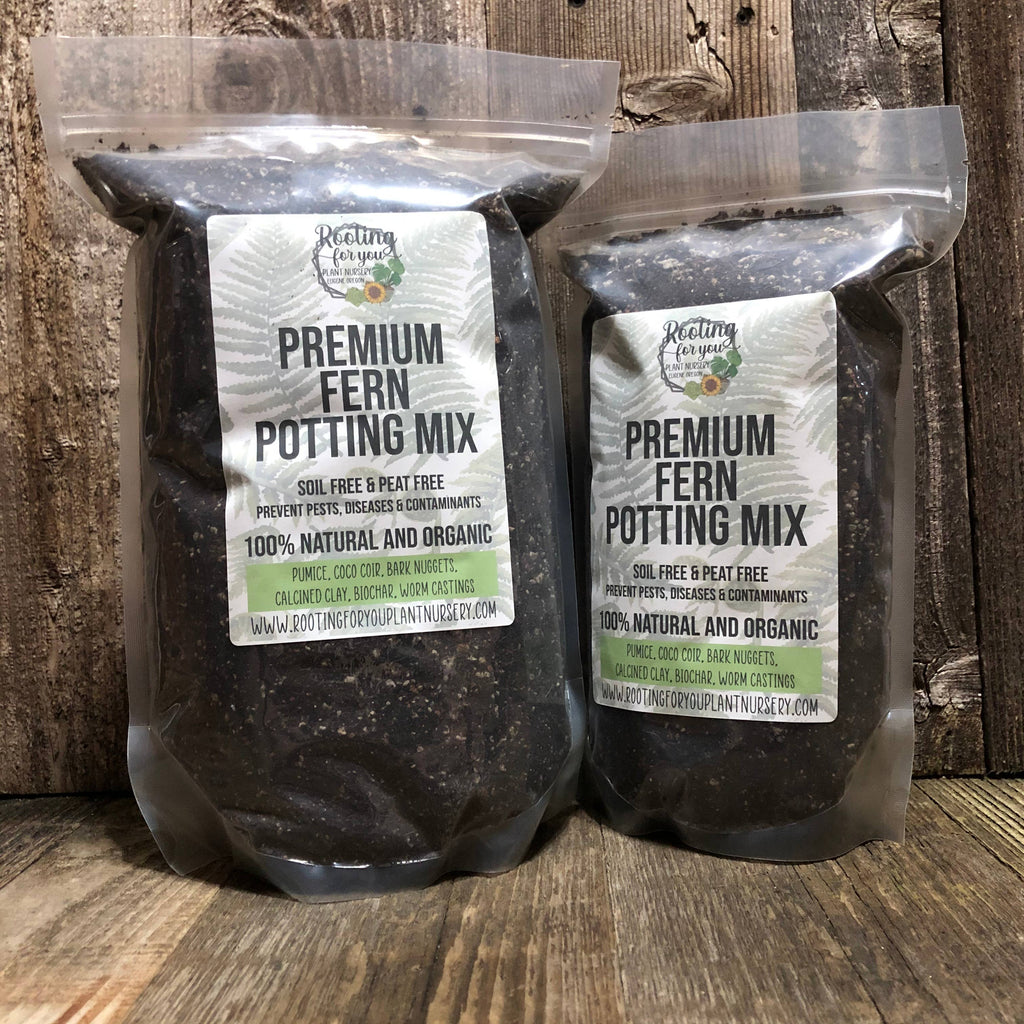 FERN Premium Potting Mix