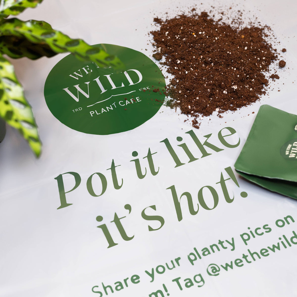 Compostable Gardening Mat 2 pk